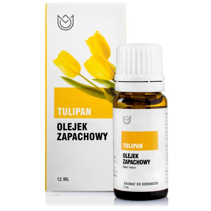tulipan