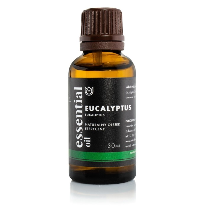 eukaliptus